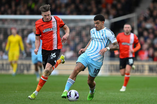 扩充名单 扩充名单